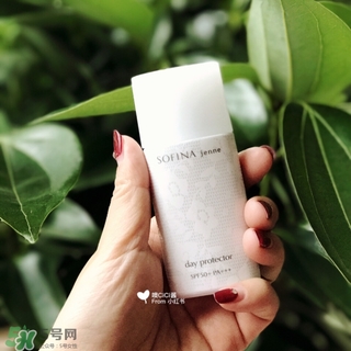 蘇菲娜白蕾絲多少錢？蘇菲娜白蕾絲日本價格