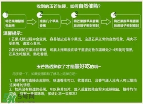 貴妃芒果硬的能吃嗎？貴妃芒果青的能吃嗎