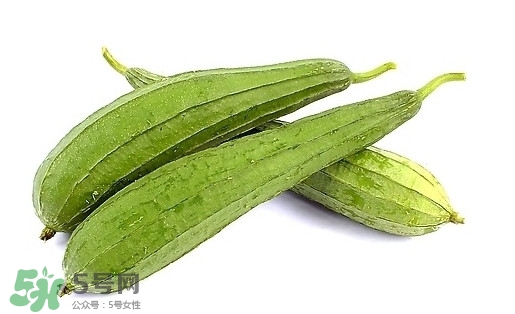 孕婦能吃絲瓜嗎？孕婦能不能吃絲瓜
