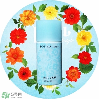 蘇菲娜藍(lán)蕾絲和藍(lán)小花哪個(gè)好？蘇菲娜藍(lán)蕾絲和藍(lán)小花對(duì)比