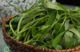 夏天種什么蔬菜？夏天適合種什么蔬菜