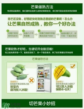 貴妃芒果硬的能吃嗎？貴妃芒果青的能吃嗎