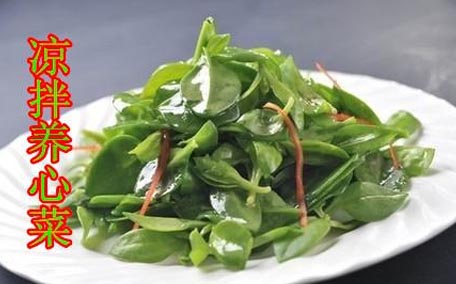 養(yǎng)心菜能生吃嗎？養(yǎng)心菜怎么吃？