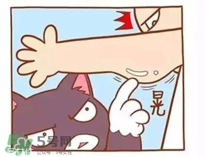 天鵝臂是什么？天鵝臂有用嗎