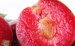 三華李什么時(shí)候上市？三華李什么時(shí)候成熟