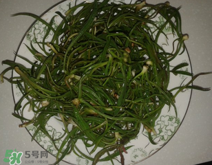 陽(yáng)溝菜孕婦可以吃嗎？孕婦能吃陽(yáng)溝菜嗎？