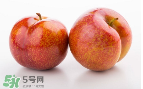 三華李孕婦可以吃嗎？三華李孕婦能吃嗎