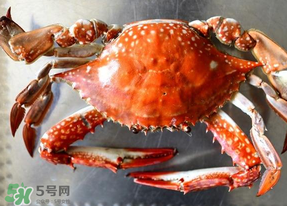 六月份有螃蟹嗎？六月份吃什么螃蟹？