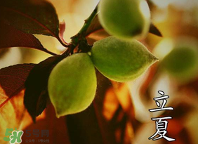 立夏吃什么水果？立夏吃什么水果好？