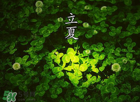立夏吃什么水果？立夏吃什么水果好？