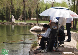 立夏好釣魚(yú)嗎？立夏怎么釣魚(yú)？