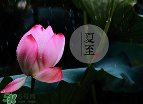 立夏和夏至有什么區(qū)別？立夏和夏至的區(qū)別