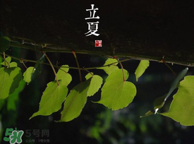 2017年立夏會(huì)下雨嗎？2017年立夏下雨好嗎？
