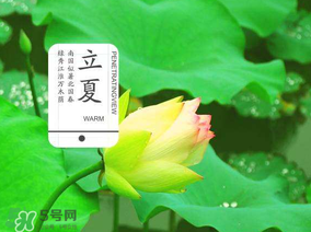 2017年立夏會(huì)下雨嗎？2017年立夏下雨好嗎？