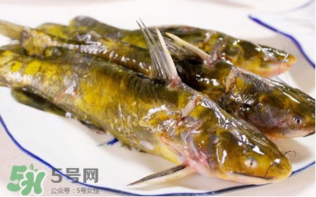 嘎魚(yú)孕婦能吃嗎？孕婦可以吃嘎魚(yú)嗎