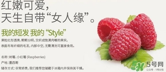 樹莓可以放冰箱嗎？樹莓可以保存幾天