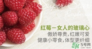 樹莓可以放冰箱嗎？樹莓可以保存幾天