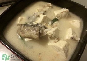 黑魚能和豆腐一起吃嗎？豆腐可以和黑魚一起吃嗎