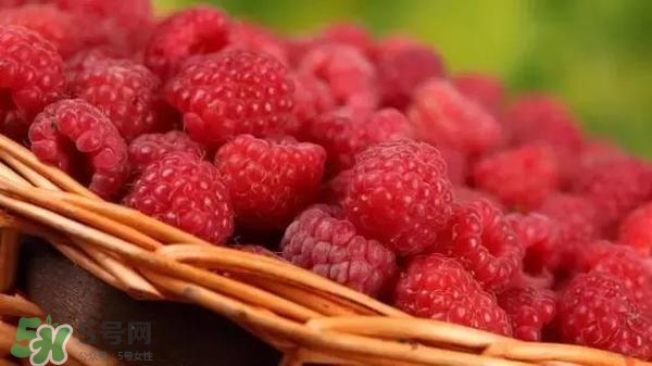 樹莓可以直接吃嗎？樹莓里的小籽能吃嗎？