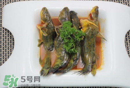 嘎魚不適合什么人吃？黃顙魚不適合什么人吃