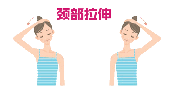 天鵝頸是什么樣的？天鵝頸怎么練？