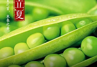 立夏吃什么好？立夏吃什么蔬菜？