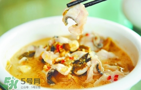黑魚是發(fā)物嗎？黑魚是不是發(fā)物