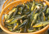 黃顙魚不能和什么一起吃？黃顙魚不能與什么同吃？