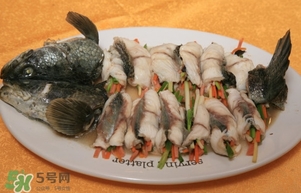 生魚是什么魚？生魚片是什么魚