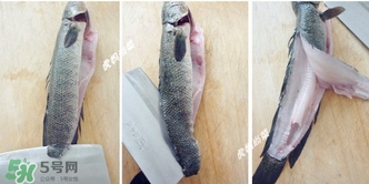 黑魚怎么切片？黑魚如何切魚片