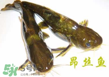 黃顙魚不能和什么一起吃？黃顙魚不能與什么同吃？