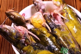 嘎魚是鯰魚嗎？嘎魚是黃辣丁嗎