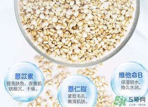 薏仁水可以天天敷嗎？薏仁水幾天敷一次？