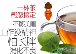 脂流茶成分 脂流茶可以減肥嗎？