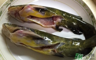 黃辣丁一斤多少錢？黃辣丁價(jià)格