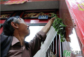 端午節(jié)為什么掛艾草？端午節(jié)掛艾草的由來