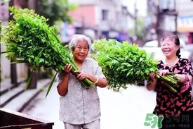 端午節(jié)為什么掛艾草？端午節(jié)掛艾草的由來