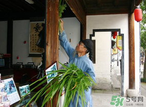 端午節(jié)門(mén)上掛的那個(gè)草叫什么？端午節(jié)掛門(mén)上的叫什么？