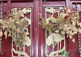 端午節(jié)門(mén)上掛的那個(gè)草叫什么？端午節(jié)掛門(mén)上的叫什么？