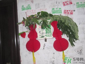端午節(jié)門(mén)上掛的那個(gè)草叫什么？端午節(jié)掛門(mén)上的叫什么？