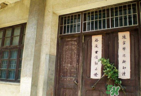 端午節(jié)插門上的是什么？端午節(jié)為什么要插艾草？
