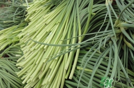 蒜薹怎么保存？蒜薹如何保存