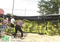 怎樣腌蒜苔容易儲(chǔ)存？怎樣腌蒜苔放的時(shí)間長(zhǎng)