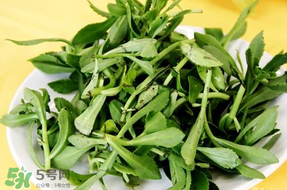養(yǎng)心菜能生吃嗎？養(yǎng)心菜怎么吃？