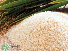 包粽子的米要泡多久？包粽子的米是什么米？