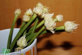 蒜薹可以放冰箱嗎？蒜薹可以冷凍嗎