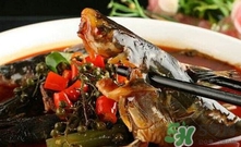 黃辣丁一斤多少錢？黃辣丁價(jià)格