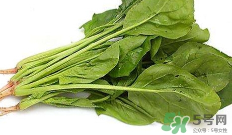 黃辣丁能和菠菜同食不？菠菜可以和黃辣丁一起吃嗎