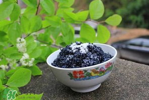 烏飯用什么葉子煮？烏飯用什么葉子圖片？