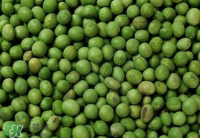 青豆可以打豆?jié){嗎？青豆能做豆?jié){嗎？